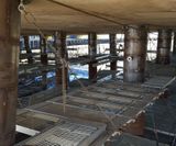 03 DEWI RENT - nieuwe buispalen onder toegangsbrug (11)